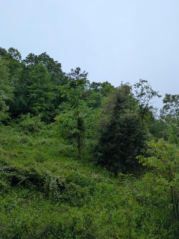 10970 McWhorter Road, London, KY 40741