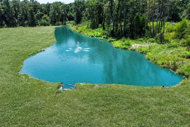 150 Quiet Springs Trail, Willis, TX 77378