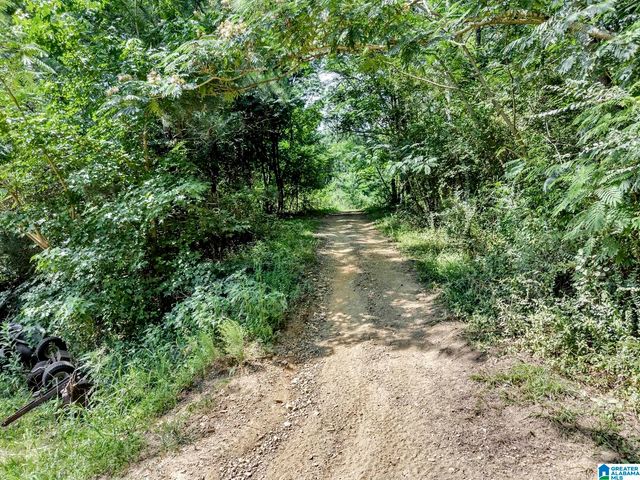 325 TURTLE DOVE ROAD, Warrior, AL 35180