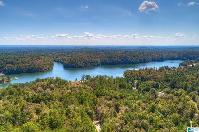 325 TURTLE DOVE ROAD, Warrior, AL 35180