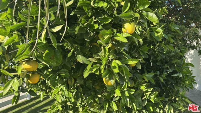 7516 Oakdale Avenue, Winnetka (los Angeles), CA 91306