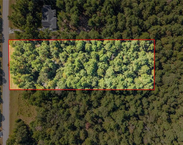 185 Rim Rock Road, Huntsville, TX 77340