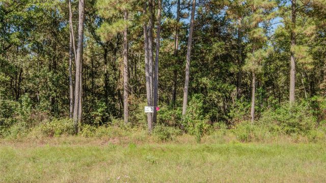 185 Rim Rock Road, Huntsville, TX 77340