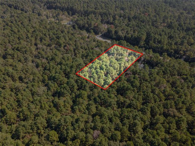 185 Rim Rock Road, Huntsville, TX 77340