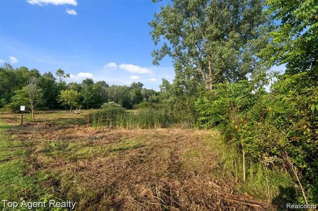 4499 West Street, Leonard Village, MI 48367
