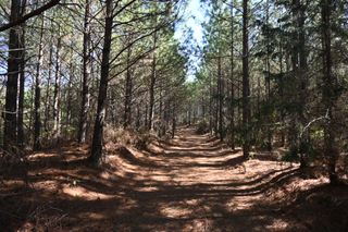 0 Owl Hollow Rd, Linden, TN 37096