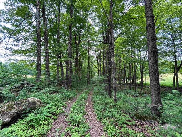 6036 Jacksonville Stage Road, Halifax, VT 05358