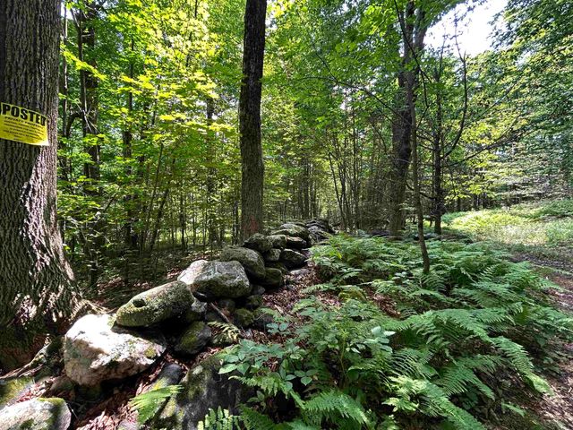 6036 Jacksonville Stage Road, Halifax, VT 05358