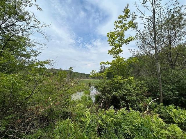 6036 Jacksonville Stage Road, Halifax, VT 05358