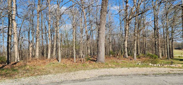 TBD Nishma Circle, Cherokee Village, AR 72529