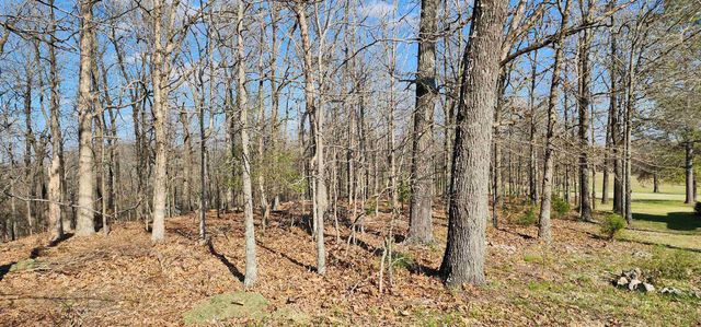 TBD Nishma Circle, Cherokee Village, AR 72529