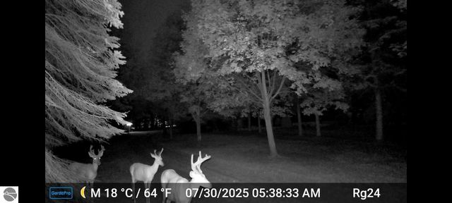 5645 Tilton Road, Traverse City, MI 49684