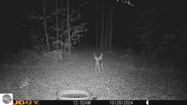 5645 Tilton Road, Traverse City, MI 49684