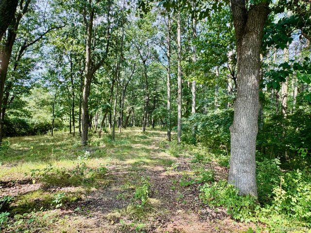 2250 E Dryden Road, Metamora Township, MI 48455