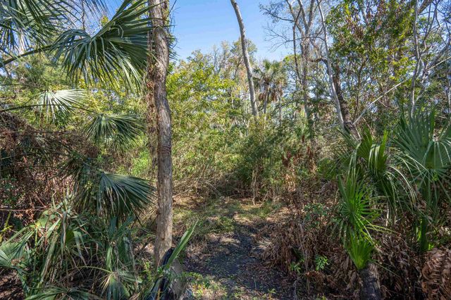 236 Nesmith Avenue, St Augustine, FL 32084