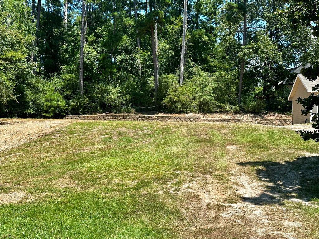 497 Valleyview Drive, Onalaska, TX 77360