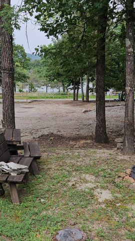 462 Jellystone Avenue, Hollister, MO 65672