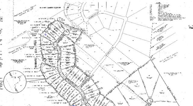 Lot 56 Paradise Cove, Streetman, TX 75859
