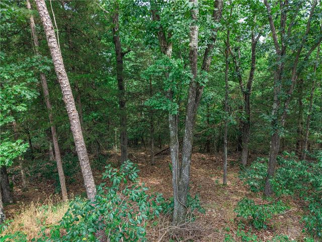 20183 Lake Estates Circle, Rogers, AR 72756