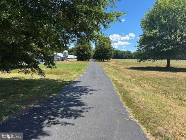 953 WHITE MARSH BRANCH RD, Harrington, DE 19952