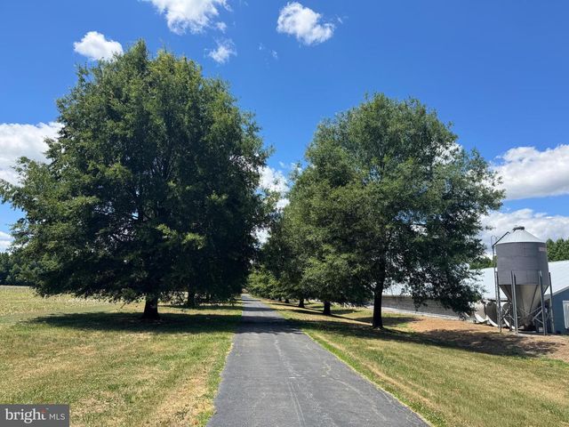 953 WHITE MARSH BRANCH RD, Harrington, DE 19952