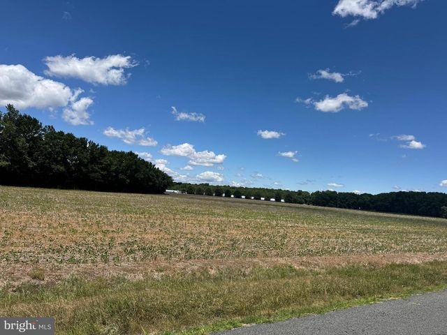 953 WHITE MARSH BRANCH RD, Harrington, DE 19952