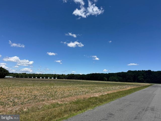 953 WHITE MARSH BRANCH RD, Harrington, DE 19952