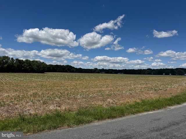 953 WHITE MARSH BRANCH RD, Harrington, DE 19952
