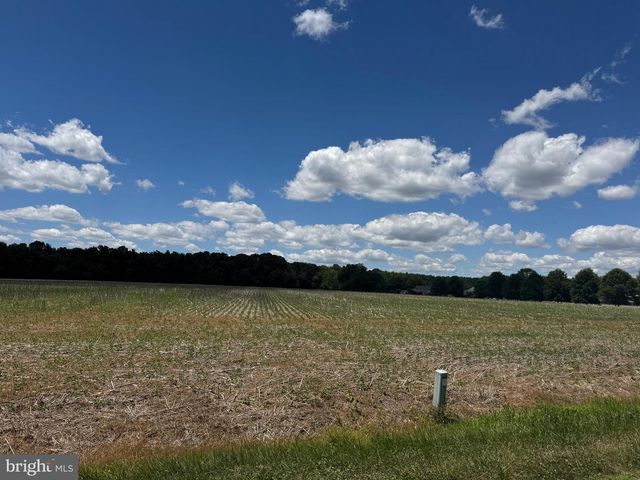 953 WHITE MARSH BRANCH RD, Harrington, DE 19952