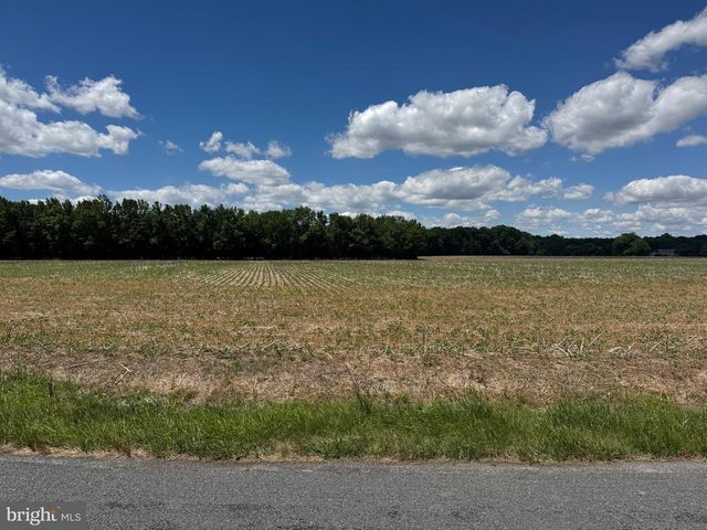953 WHITE MARSH BRANCH RD, Harrington, DE 19952