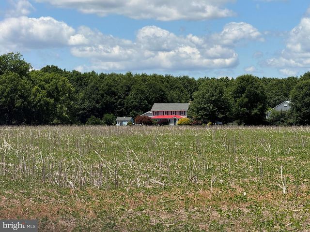 953 WHITE MARSH BRANCH RD, Harrington, DE 19952