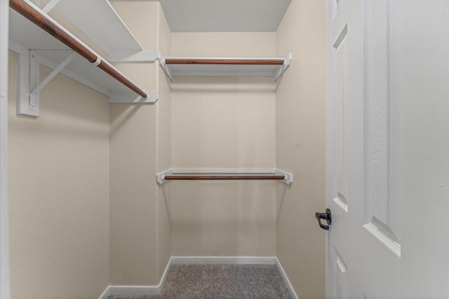 7 N Beech Springs Circle, Spring, TX 77389