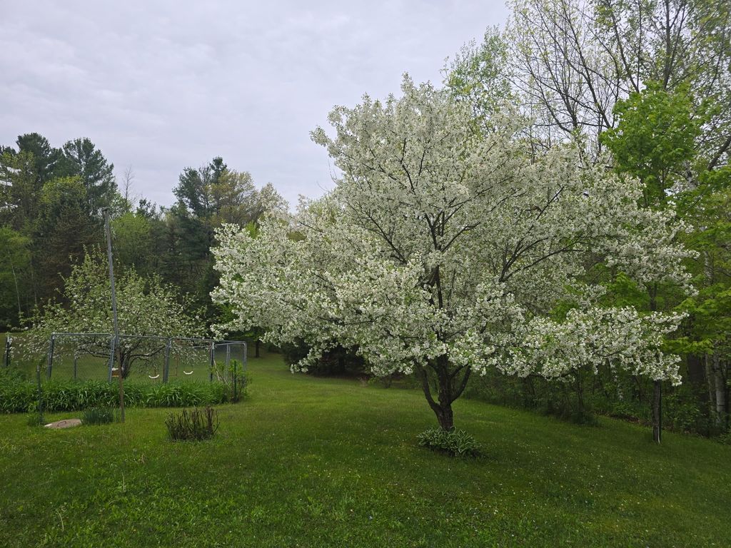 Image 9 of property listing at 2403 50th Street, Cumberland, WI 54829