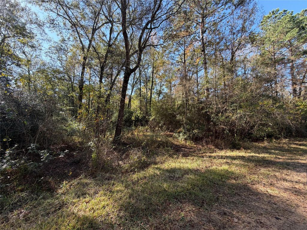 Lot 8A Private Road 2055, Hull, TX 77564