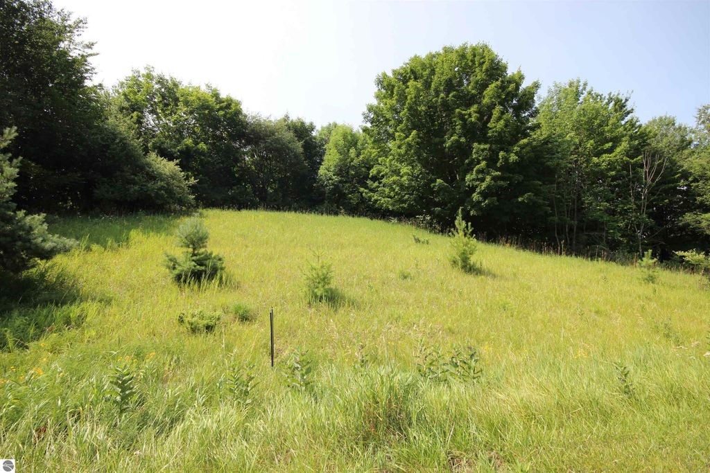 Image 13 of property listing at 0000 Deer Ridge Trail, Beulah, MI 49617