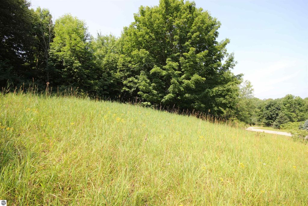 Image 14 of property listing at 0000 Deer Ridge Trail, Beulah, MI 49617