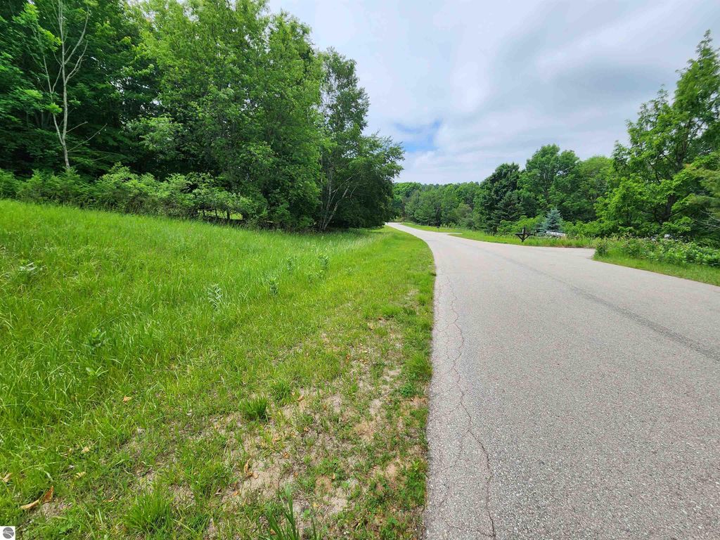 Image 3 of property listing at 0000 Deer Ridge Trail, Beulah, MI 49617