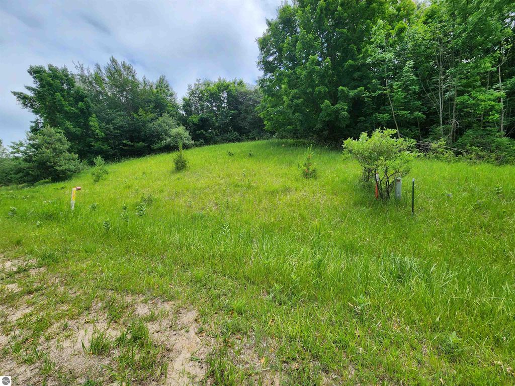 Image 4 of property listing at 0000 Deer Ridge Trail, Beulah, MI 49617