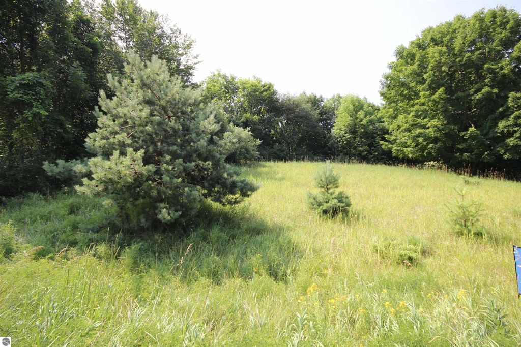 Image 37 of property listing at 0000 Deer Ridge Trail, Beulah, MI 49617