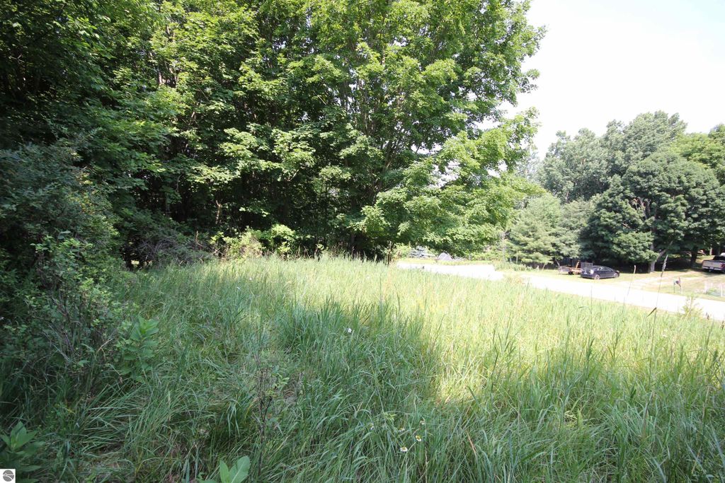 Image 38 of property listing at 0000 Deer Ridge Trail, Beulah, MI 49617