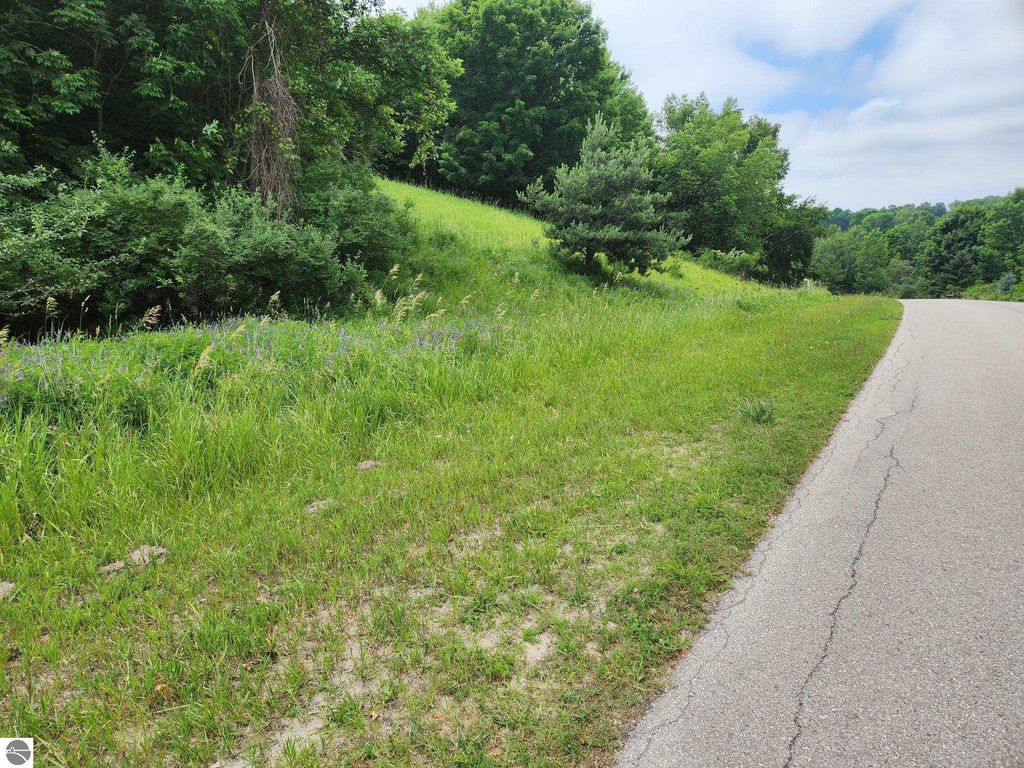 Image 5 of property listing at 0000 Deer Ridge Trail, Beulah, MI 49617