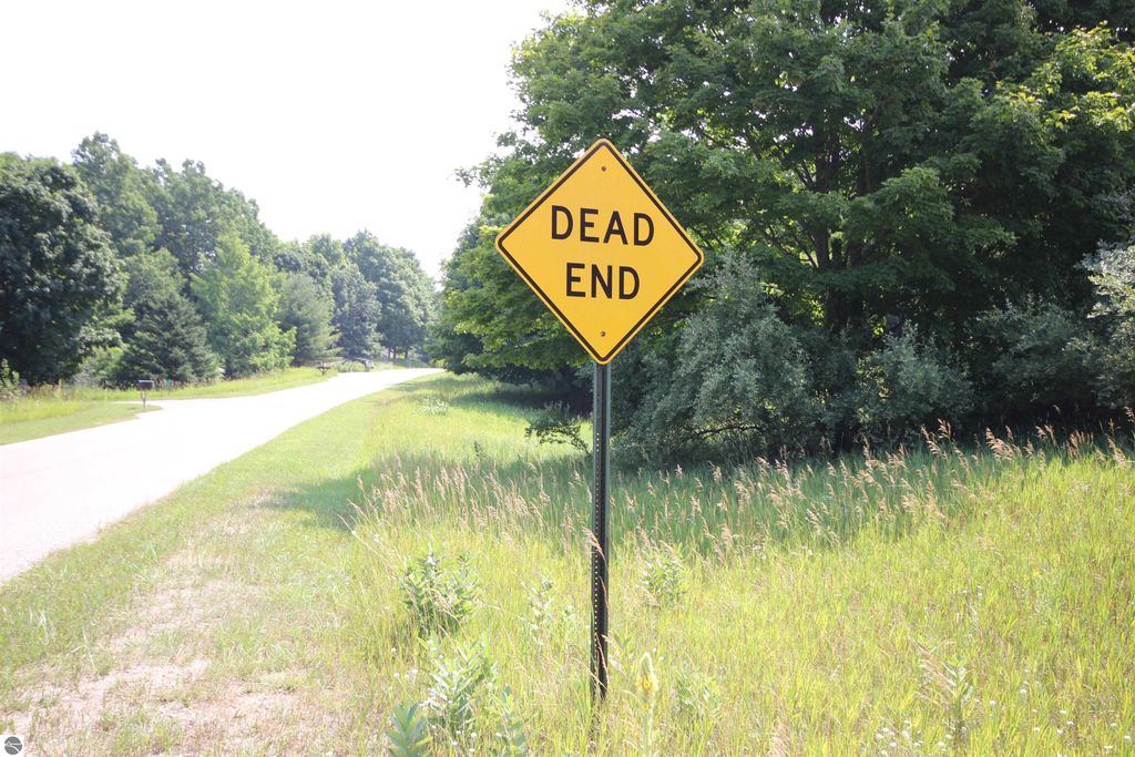 Image 6 of property listing at 0000 Deer Ridge Trail, Beulah, MI 49617