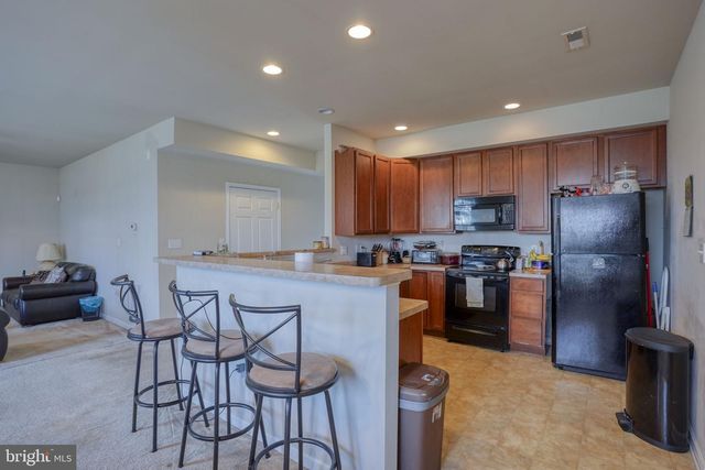 1302 TRICE MEADOWS CIR, Denton, MD 21629