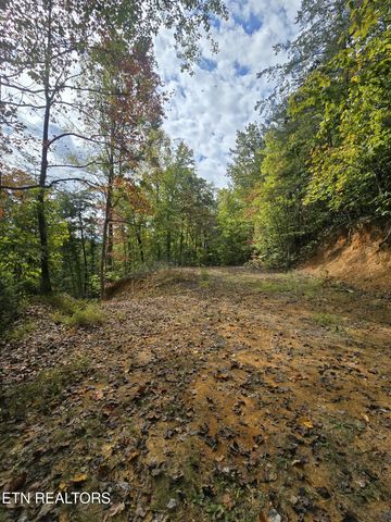 1009 Franklin Lane, Sevierville, TN 37876