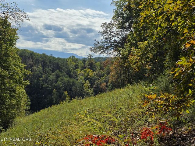 1009 Franklin Lane, Sevierville, TN 37876