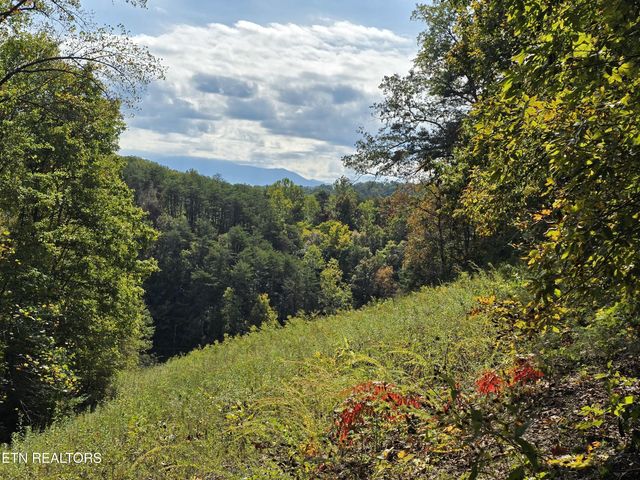 1009 Franklin Lane, Sevierville, TN 37876