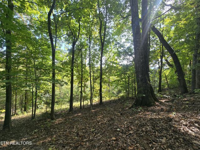 1009 Franklin Lane, Sevierville, TN 37876