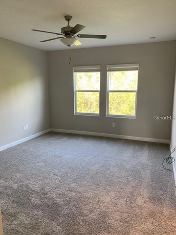 18843 NOBLE CASPIAN DRIVE, Lutz, FL 33558