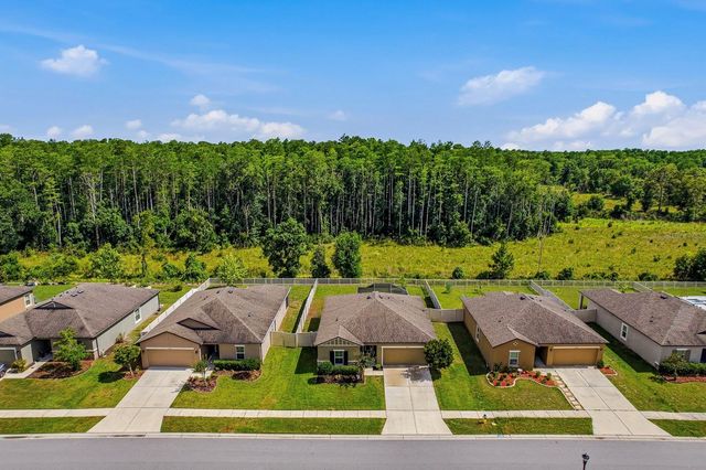 18738 ALFARO LOOP, Spring Hill, FL 34610