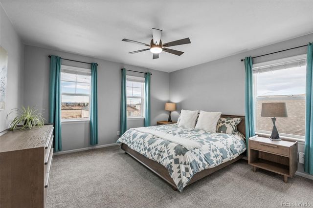 512 Blue Teal Drive, Castle Rock, CO 80104